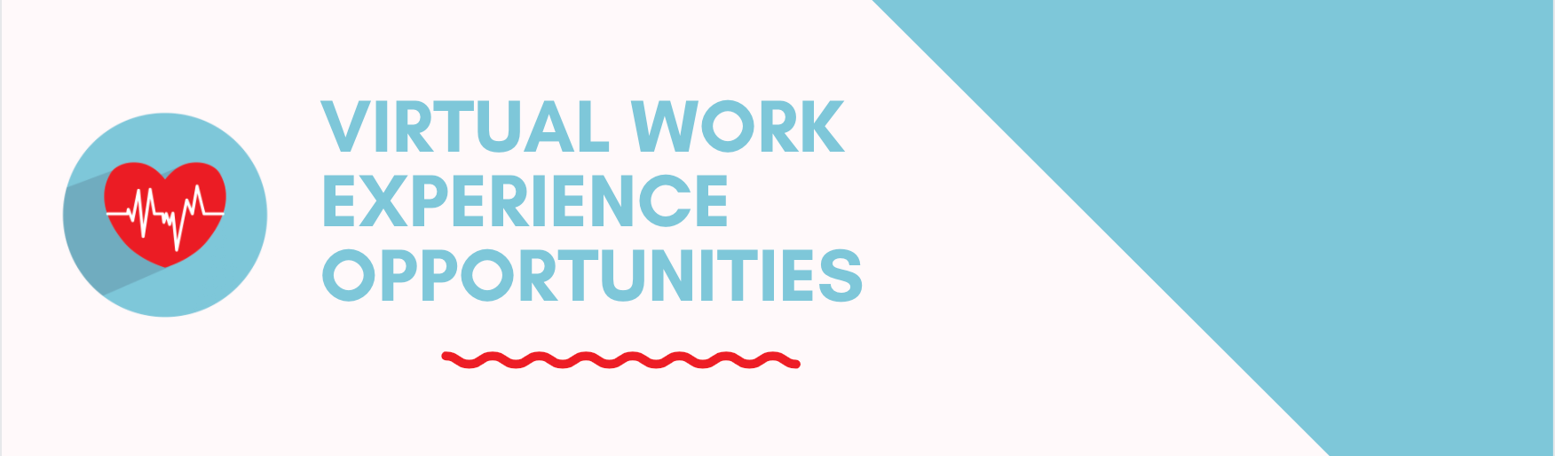 🚀 Virtual Work Experience Opportunities